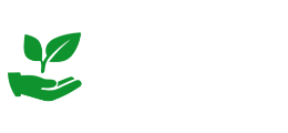 领创网